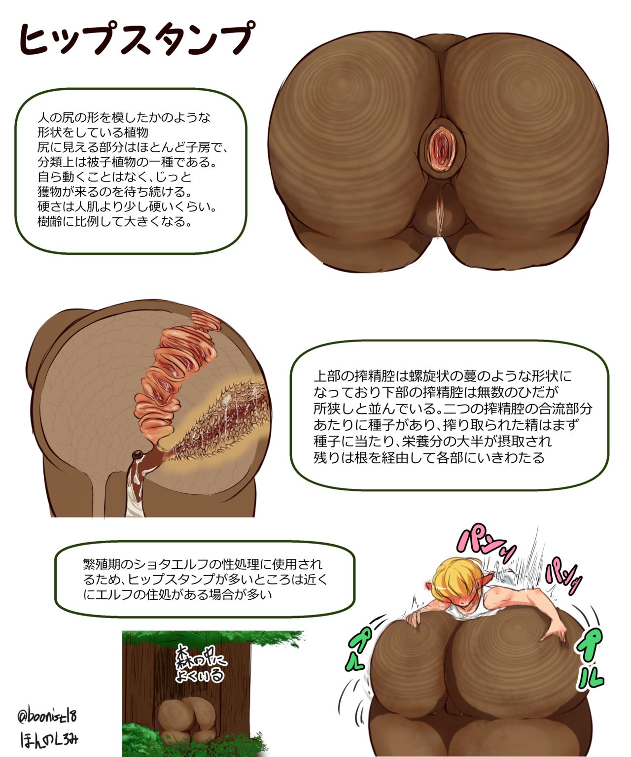 Shibosei Seibutsu Zukan page 2 full
