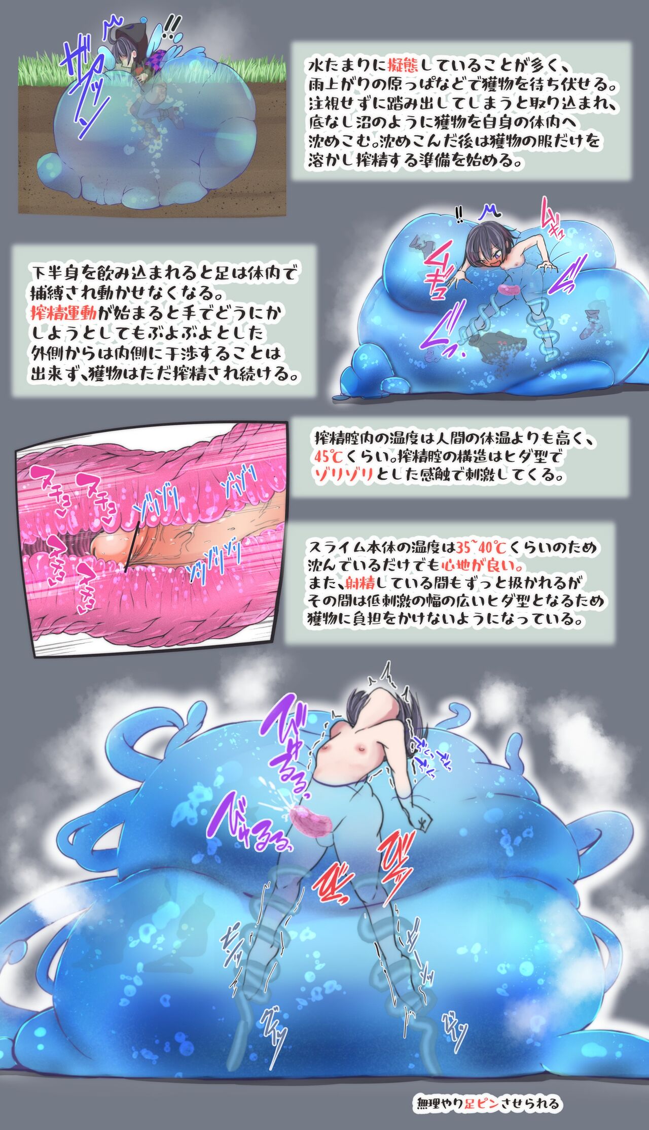 Shibosei Seibutsu Zukan page 9 full