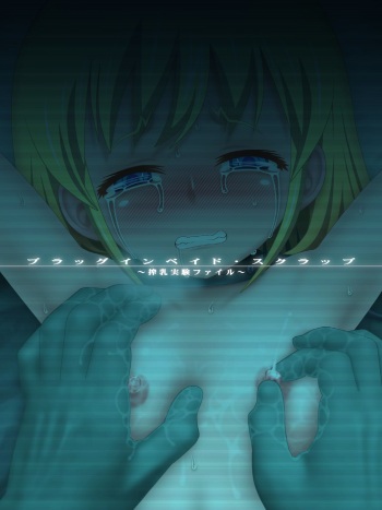 Plug Invade Scrap ~ Sakunyū jikken Flie ~ cover