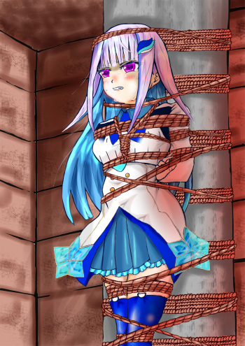 shen gallary cover