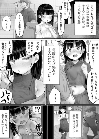 Rako Slip! どうなってしまうんだ〜〜〜！！？？ cover