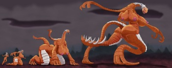 zillo beast raids again cover