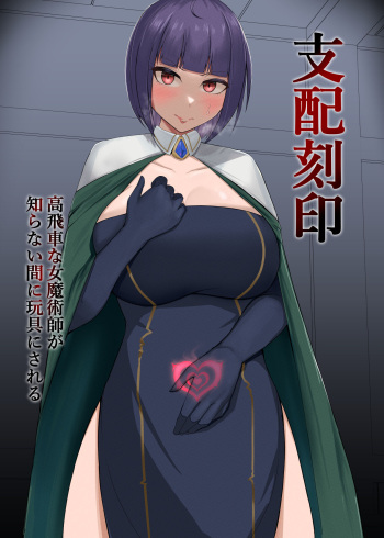 Shihai Kokuin Takabisha na Onna Majutsushi ga Shiranai Aida ni Omocha ni Sareru cover