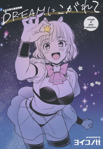 DREAM ni Kogarete - Longing For a Dream Tokuten Leaflet cover