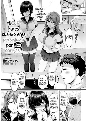 Nitoni Owarerya Dosureba!? || ¿¡Qué haces cuando eres perseguido por dos conejas!? cover