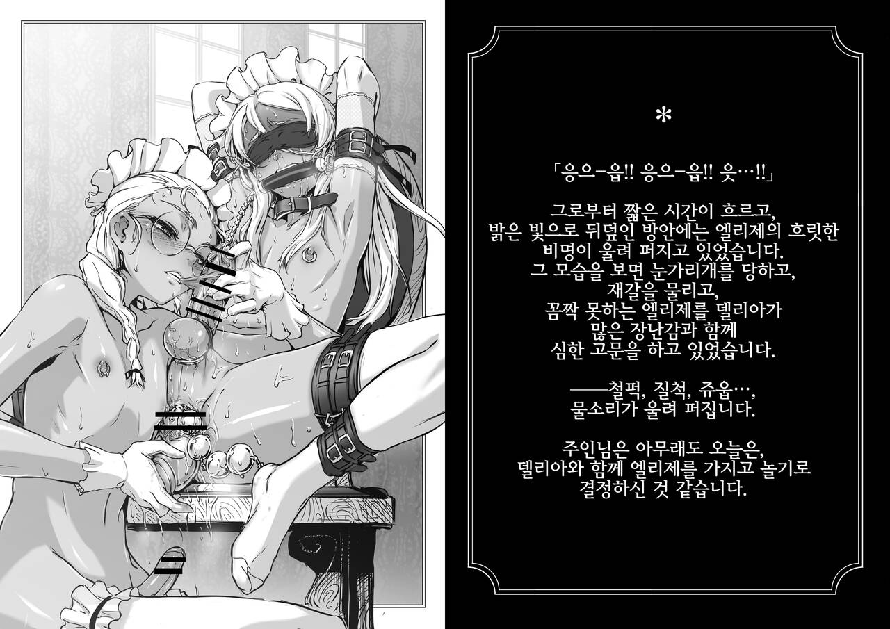 Shounen Ehon "Delia to Elise" page 3 full