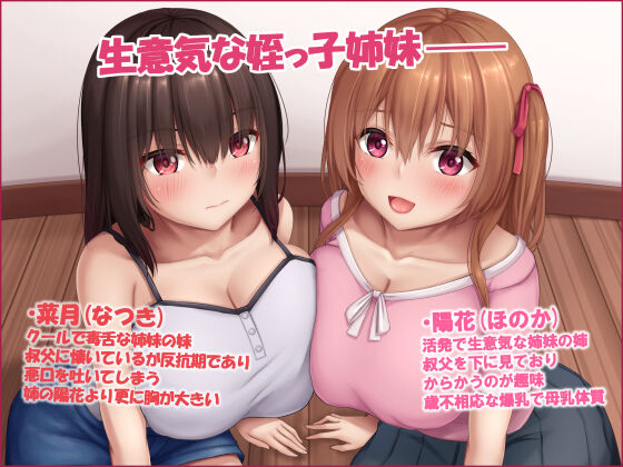 Namaiki na Bakunyuu Mesugaki Shimai to no Icha Love Seikatsu page 2 full
