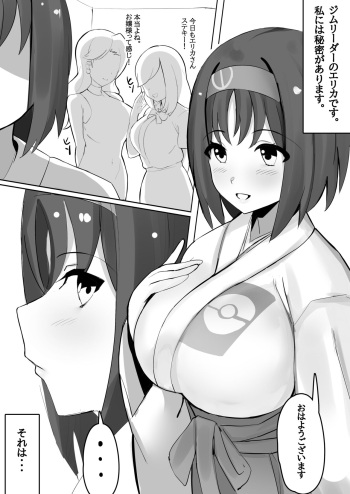 Douyara Erika ni wa Himitsu ga Arurashii... cover