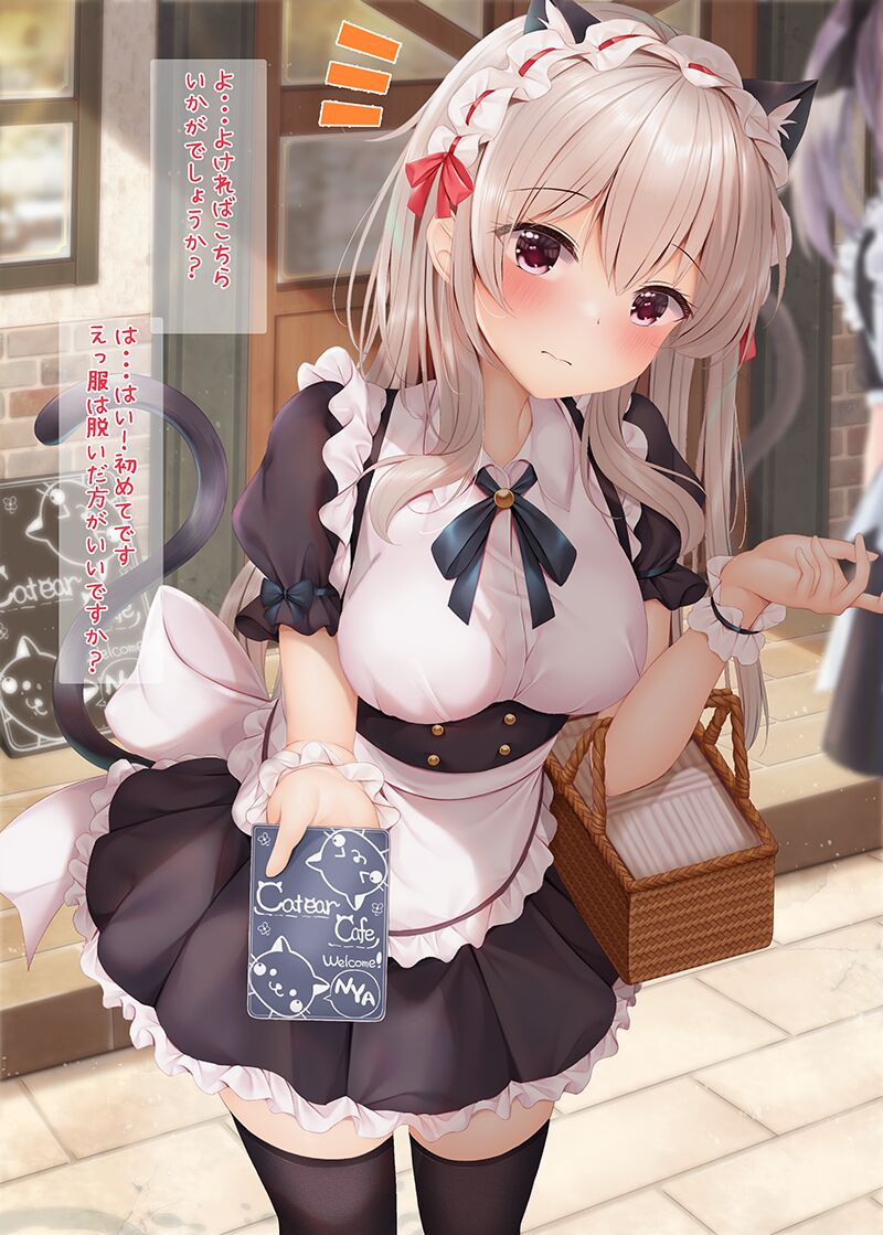 Shinjin Nekomimi Maid JK-chan Hadaka de Gohoushi Shichau!? page 3 full