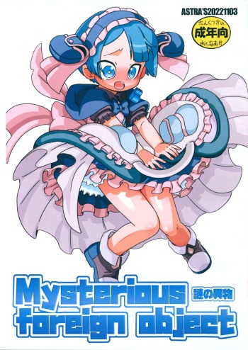 Mysterious foreign object cover