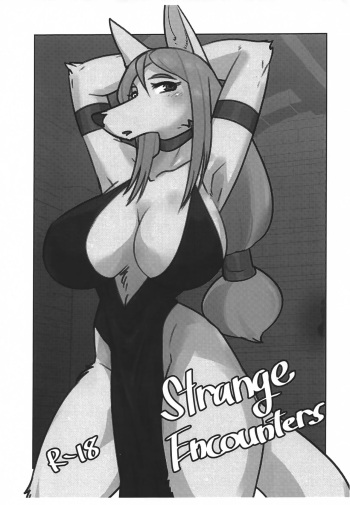 Strange Encounters cover
