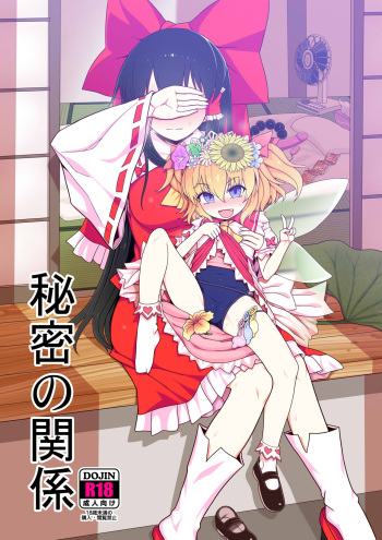 Himitsu no kankei cover
