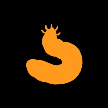 Sea creature 2 cover