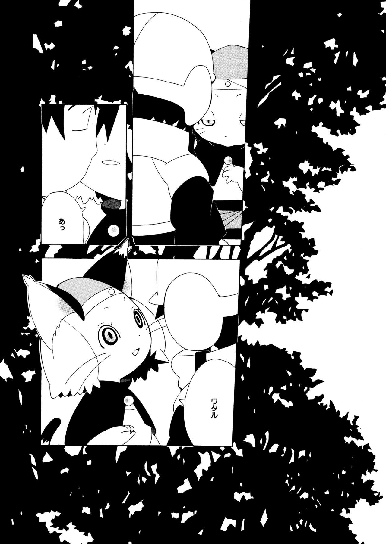 13 page 4 full