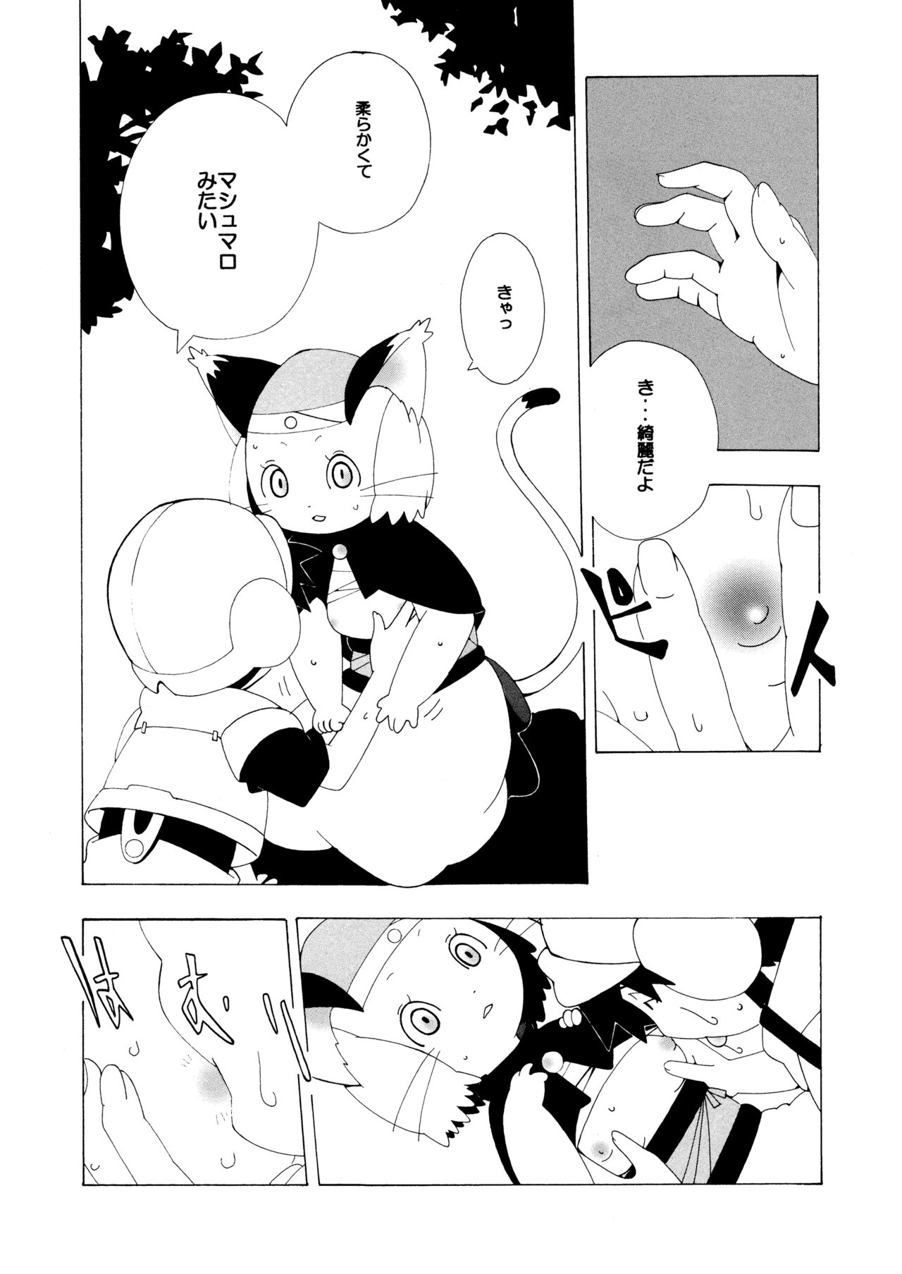 13 page 8 full