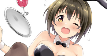 Bunny Kohhi Ecchi Sabun cover