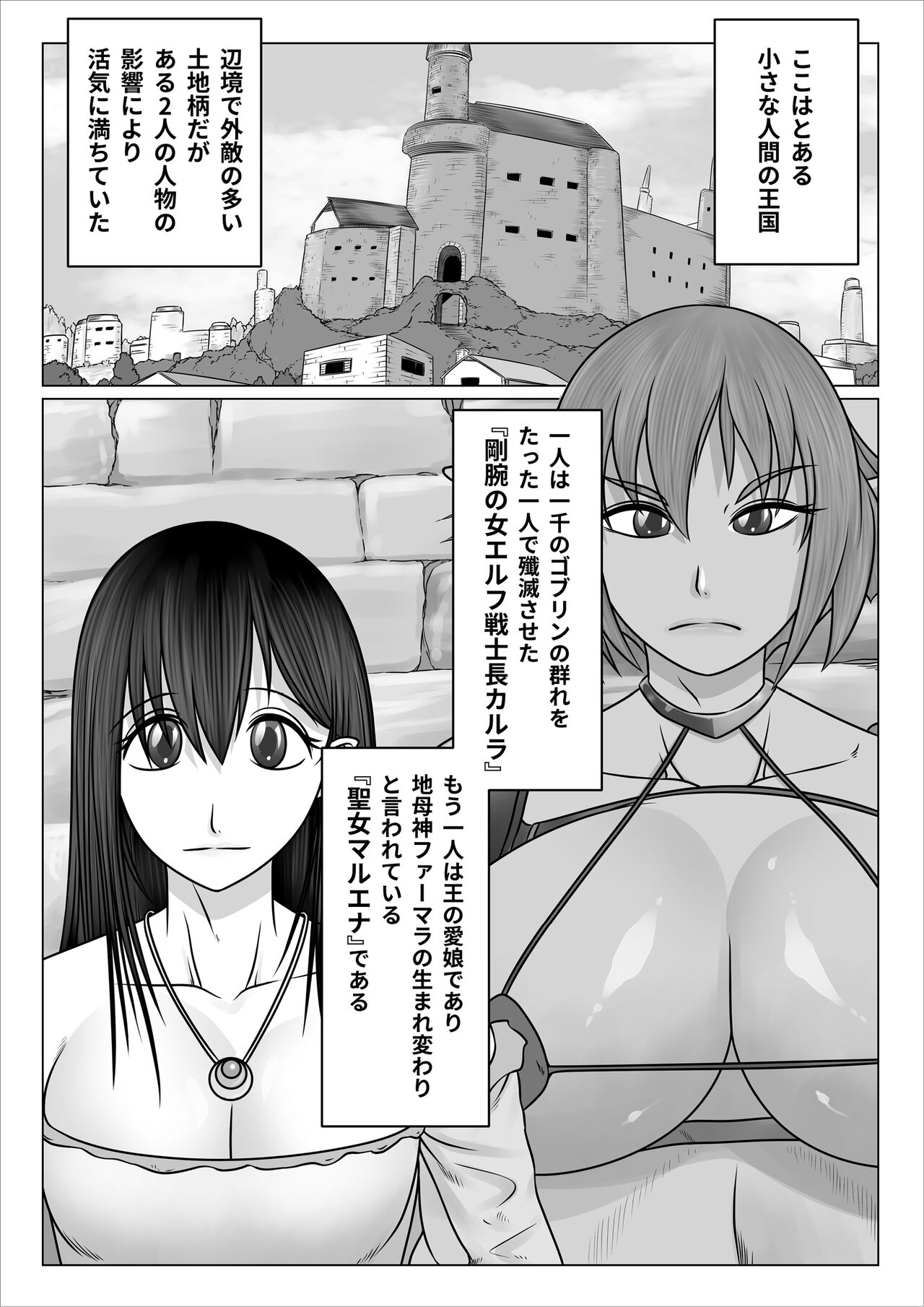 Eiyuu to Yobareta Onna Elf Senshichou ga Inran Mesu Buta ni Nikutai Kaizou Sare Tanetsuke Semen Benki to shite Isshou Houshi suru Hanashi page 3 full