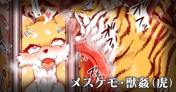 狐鈴ちゃんメスケモスウツ着て虎に犯される cover