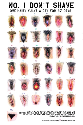 No, I Don't Shave: One Hairy Vulva a Day for 37 Days cover