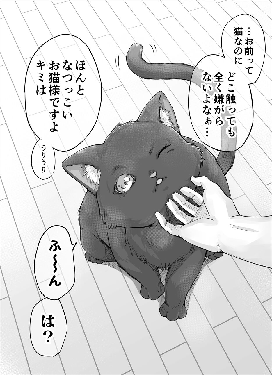 Dokusenyoku ga Tsuyosugiru Yandere Kaineko-chan page 4 full