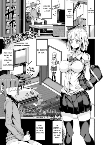 Boku no Onee-chan ni wa Teisou Gainen ga Nai cover