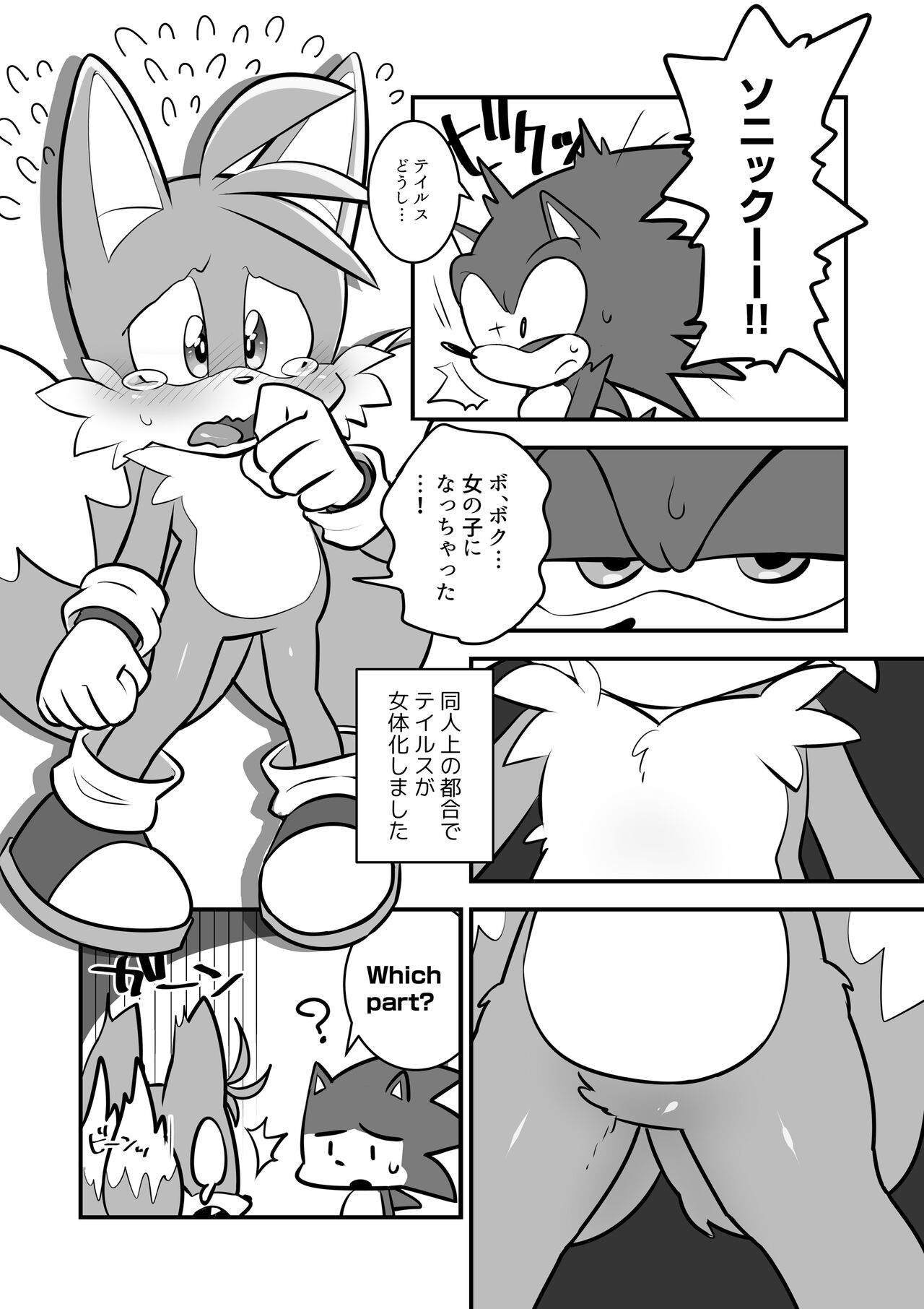Tails and Sonic's special Fuss page 2 full