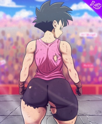 Videl cover
