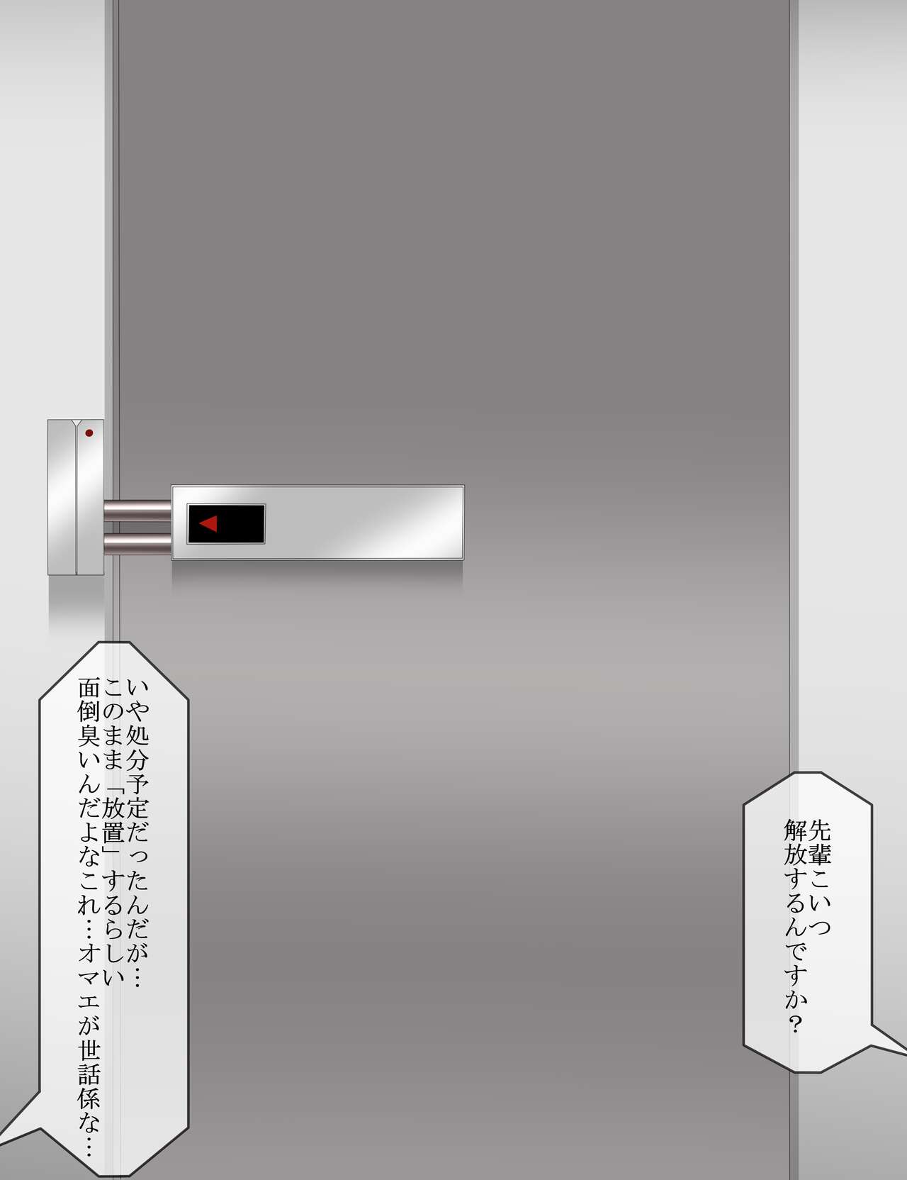 4825543 page 2 full