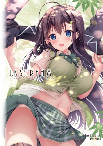 うりぼうざっか店 テーマ別画集第16弾「JK STREAM」 cover