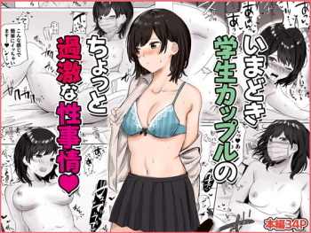 Imadoki Gakusei Couple no Chotto Kageki na Seijijou cover