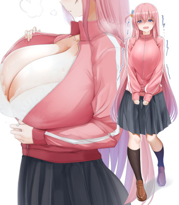 Chomikuplus cover