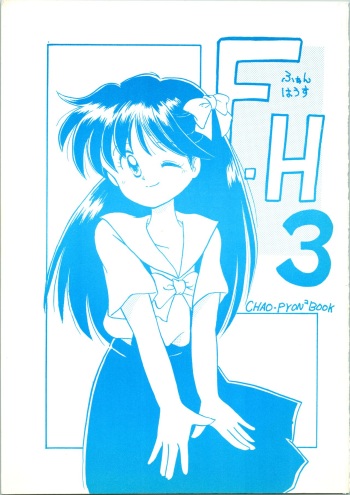 Fun House 3 cover