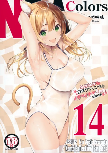 N,s A COLORS #14 cover