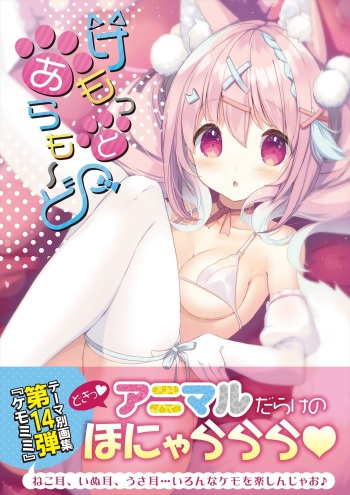 うりぼうざっか店 テーマ別画集第14弾「けもっとあらも～ど」 cover