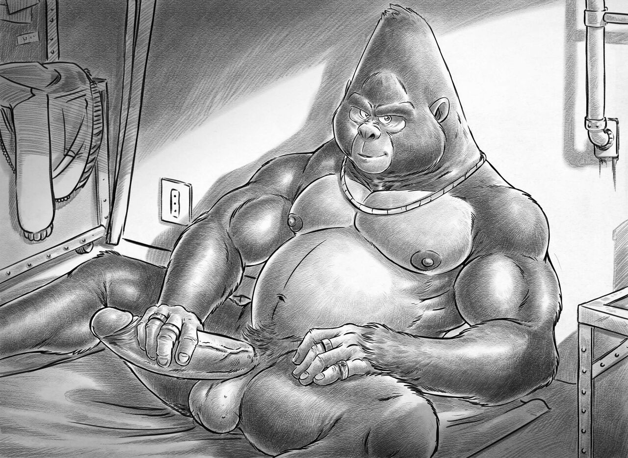 IMAGE PACK 23 page 8 full