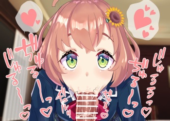 Honma Himawari cover