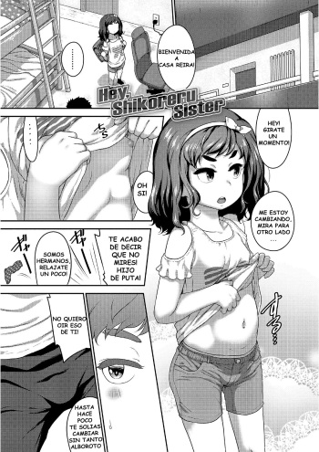 Hey, Shikoreru Sister cover