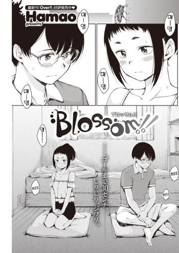 Blossom!! cover