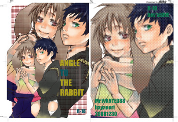 ANGLE TO THE RABBIT cover