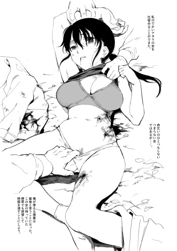 Senjou ni Chiru <Steffen Gunsou2> cover