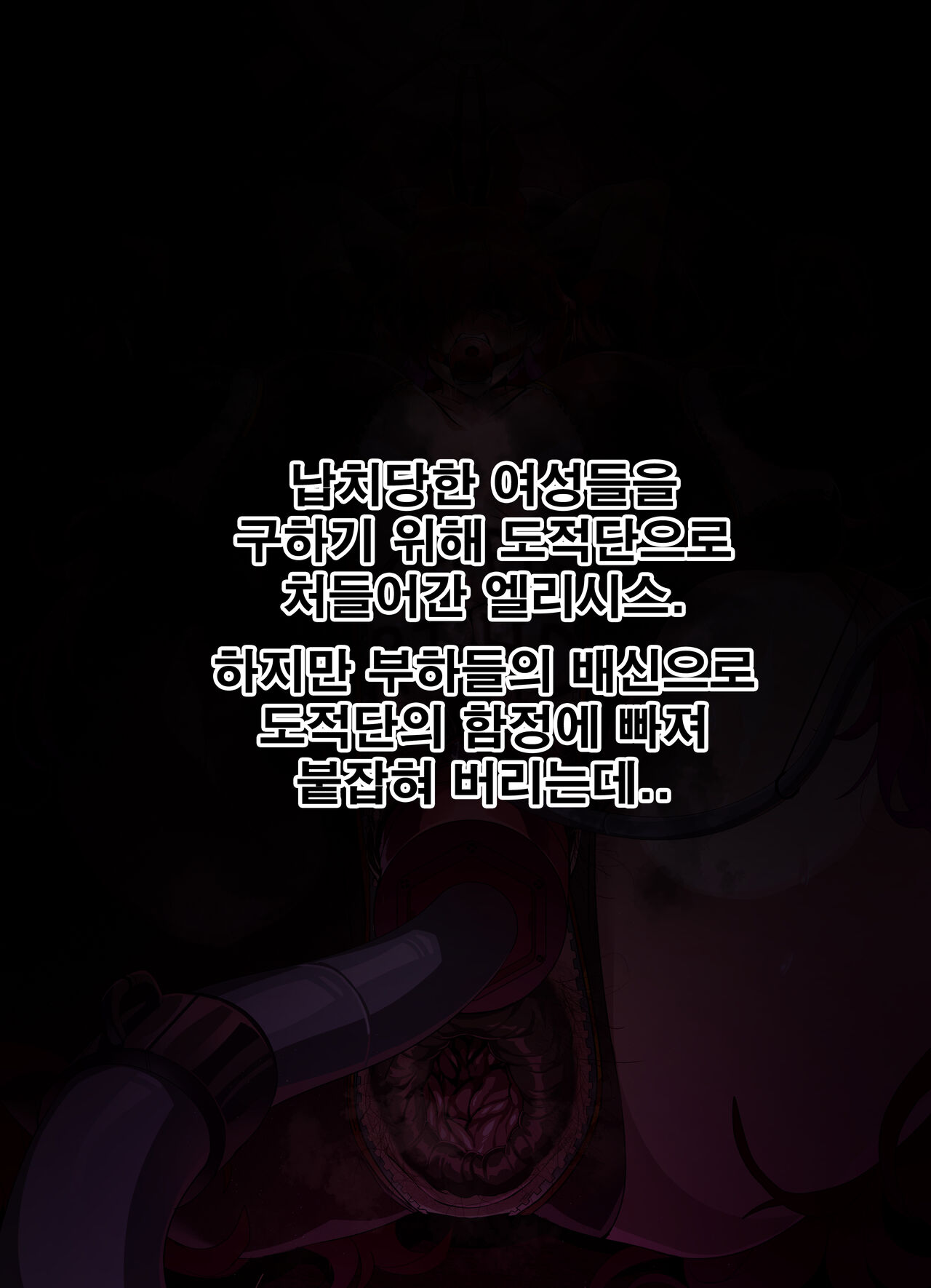 ELSWORD Elesis CG page 2 full