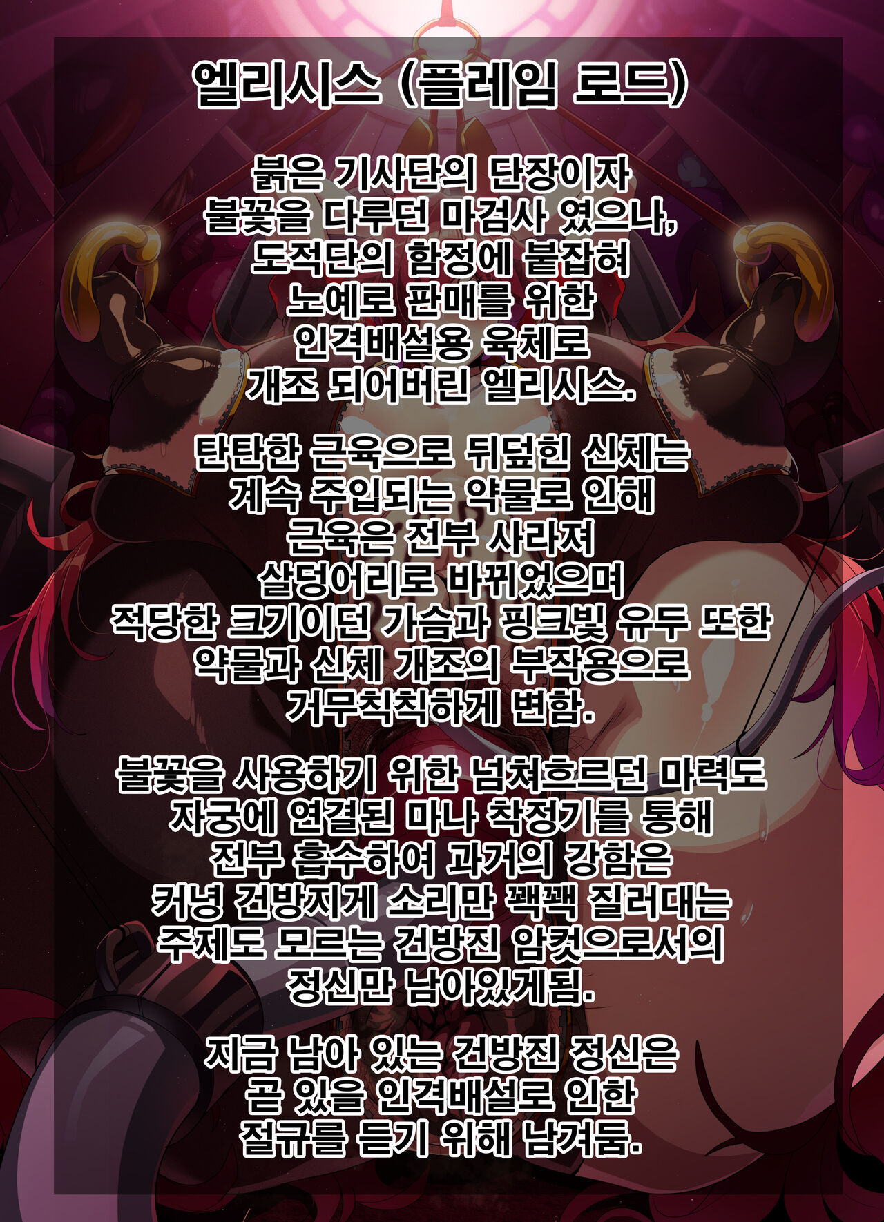 ELSWORD Elesis CG page 5 full