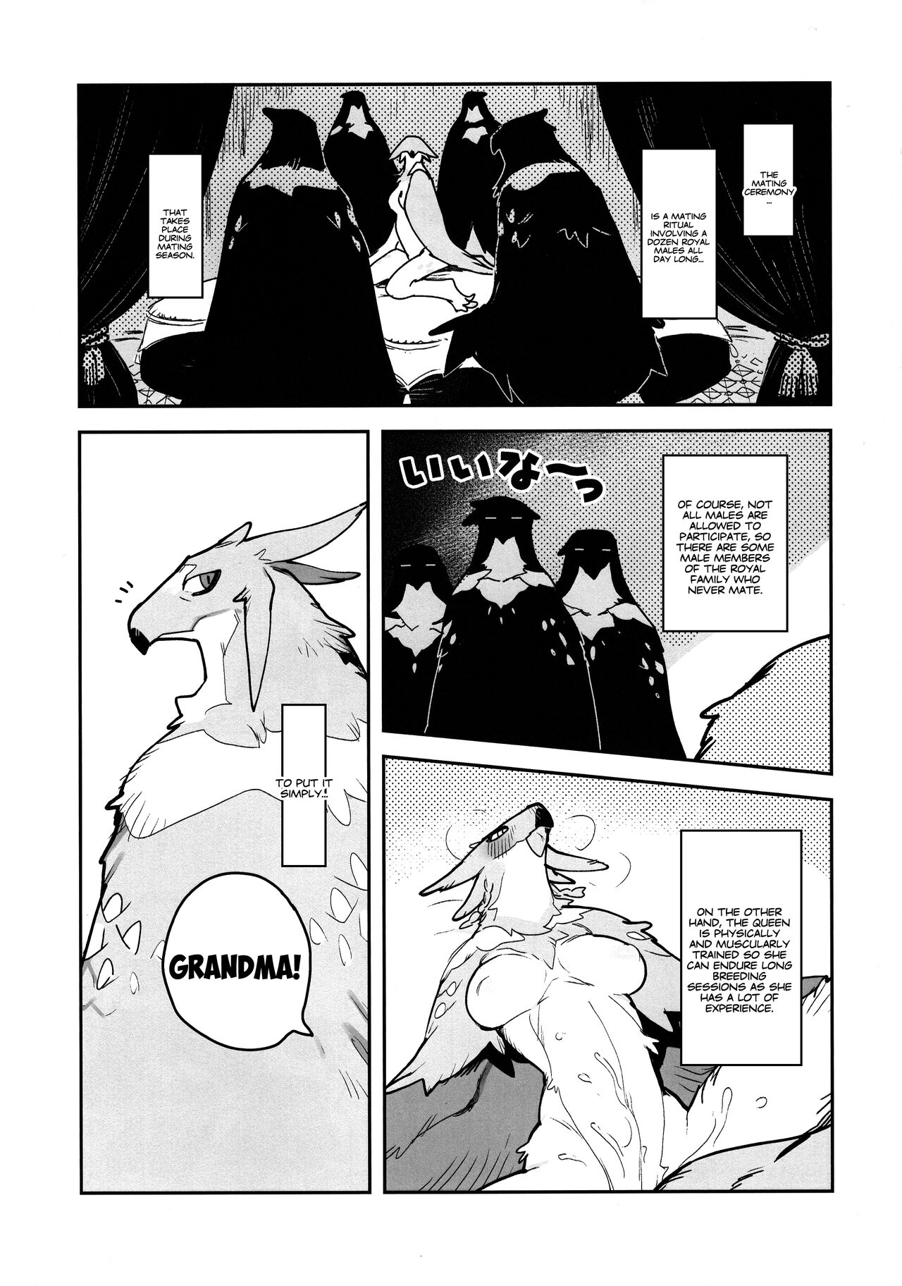 HALAM page 5 full