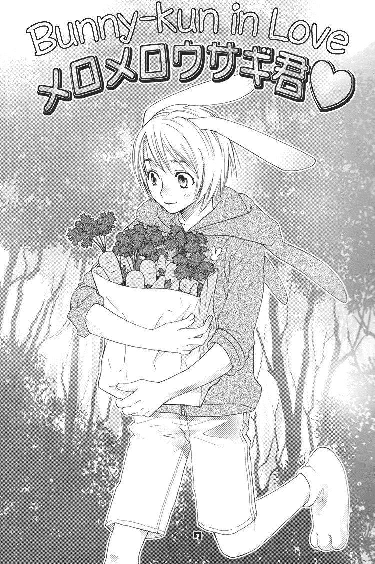 Mori No Animal Company Anikan | The Woodland Animal Company page 7 full