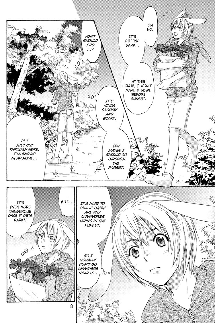 Mori No Animal Company Anikan | The Woodland Animal Company page 8 full