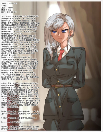 副官、カミーラ・フローリッヒ大尉、暗殺指令 cover