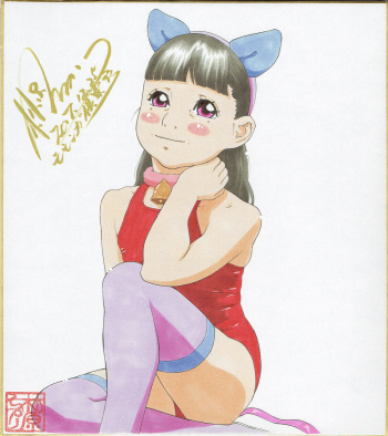 Shikishi Zukan 7 cover