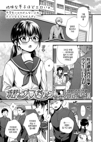 Watashi Mou Otona dakara cover