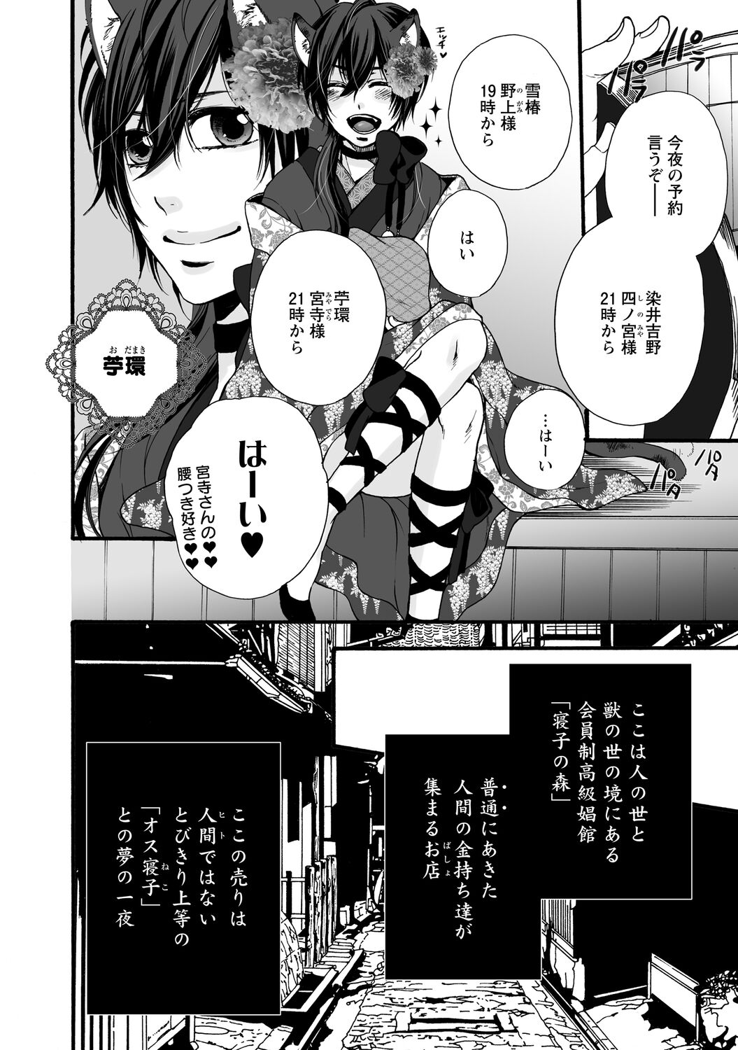 Aigan Neko no Yuuwaku page 10 full