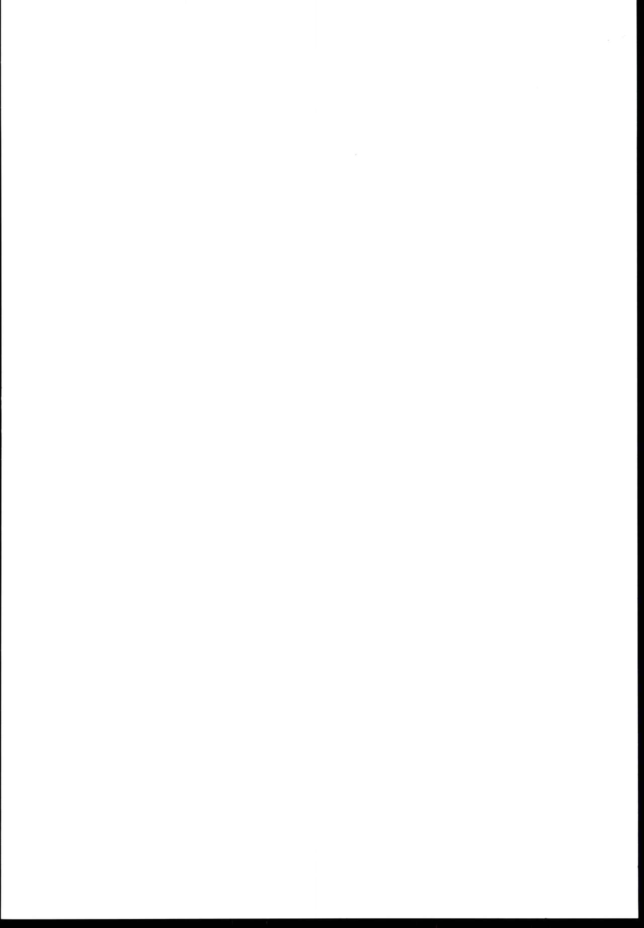 N-SESSION page 2 full